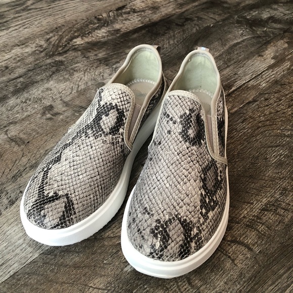 Rocket Dog Shoes - Rocket dog snake skin plush foam comfort shoes